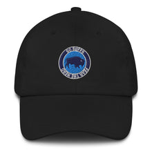 Load image into Gallery viewer, Circle Logo Hat
