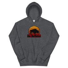 Load image into Gallery viewer, Sunset Buffalo Hoodie
